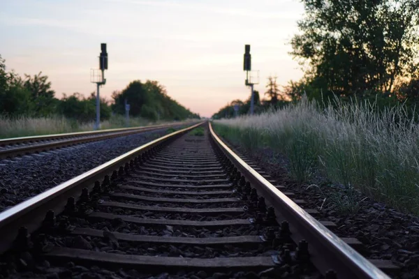 Une Vue Sur Une Gare Pleine Nature Coucher Soleil — Photo