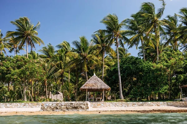 Een Hut Aan Het Strand Achtergrond Van Palmbomen — Stockfoto