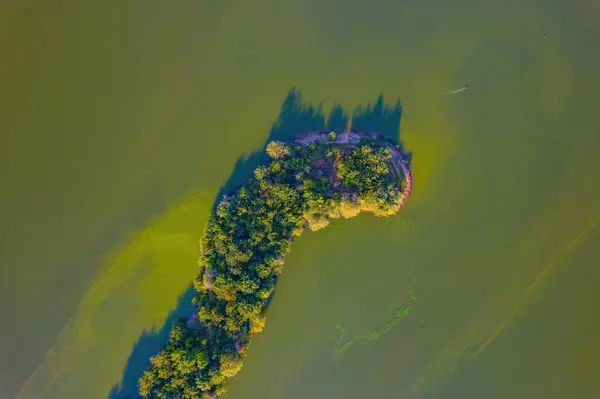 Una Vista Aerea Della Laguna Mietkow Polonia Circondata Una Vegetazione — Foto Stock