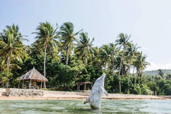 Una Cabaña Playa Fondo Palmeras Una Estatua Delfín —  Fotos de Stock