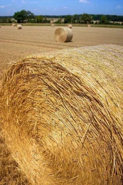 阳光灿烂的日子里稻草在田野里翻滚的垂直镜头 — 图库照片