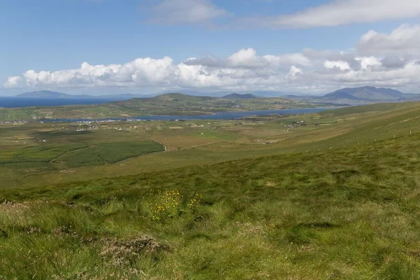 Eine Landschaftlich Reizvolle Aufnahme Von Grünen Feldern Und Küste Irland — Stockfoto