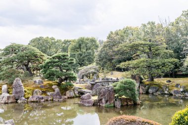 Nijo Kalesi 'nde güzel bir bahçe