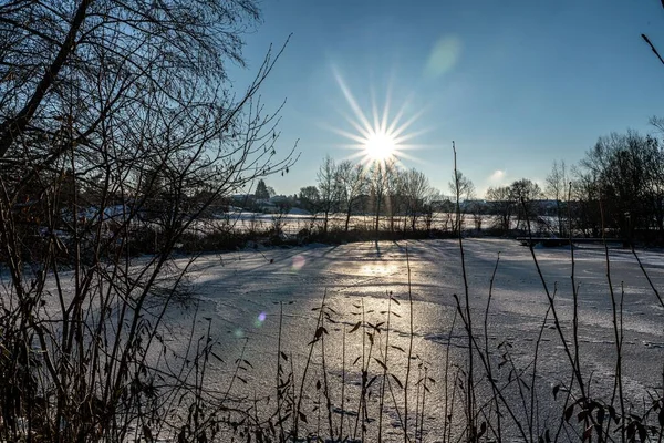 Sun Shining Brightly Frozen Lake Seen Dry Plants Tree Branches — Stock Photo, Image