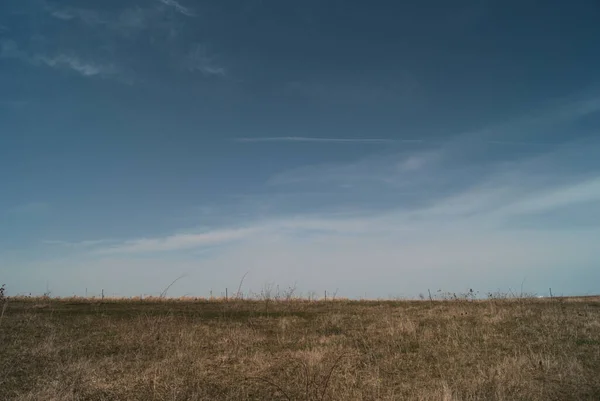 青い空に対して茶色の秋の草を持つフィールド — ストック写真