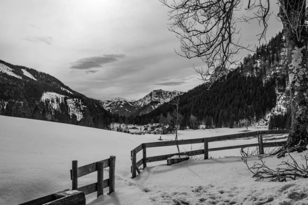 Szary Ujęcie Śnieżnego Krajobrazu — Zdjęcie stockowe