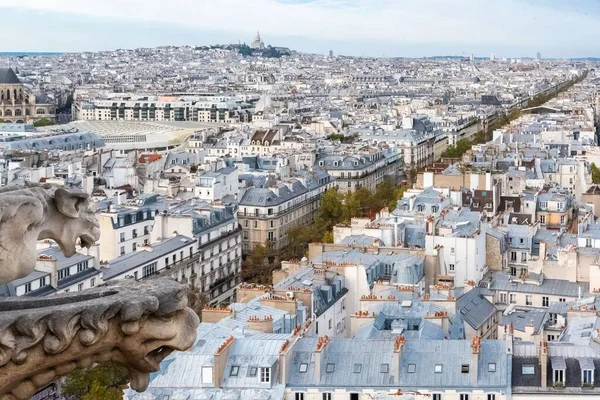 Париж Типичные Крыши Красивые Здания Вид Балкона Сен Жака — стоковое фото
