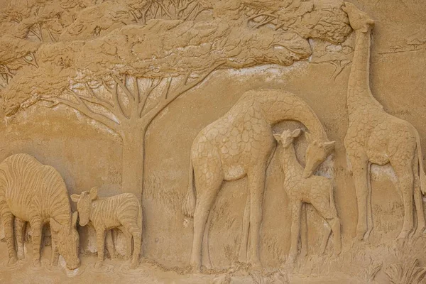 Крупный План Красивой Песчаной Структуры Сафари Тему Зебр Жирафов Зоопарке — стоковое фото