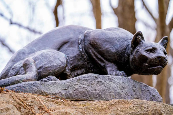 Großaufnahme Einer Tigerskulptur Park Von New York — Stockfoto