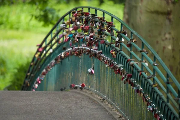 Closeup Padlocks Handrail Bridge Green Park — Stock Photo, Image