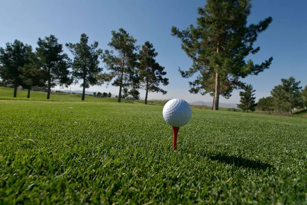 Gros Plan Une Balle Golf Sur Terrain Golf — Photo