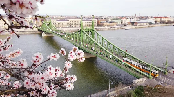 Freedom Bridge Szabadsag Hid Danube Connecting Buda Pest View Gellert — Stock Photo, Image