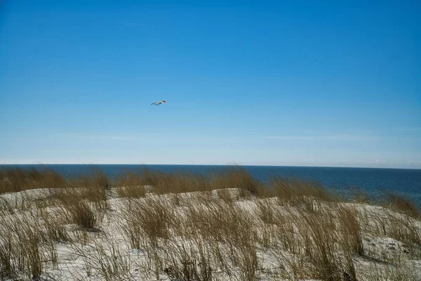 Torra Rör Den Sandiga Stranden Och Färgglada Kit Svävar Skyn — Stockfoto