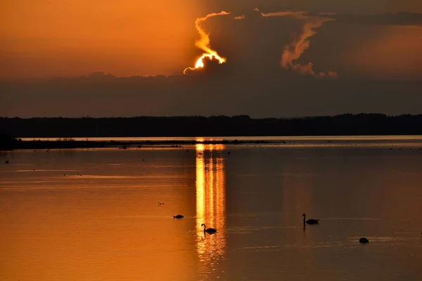 Beautiful Sunset Hirschauer Bucht Swans Lake Chiemsee Bavaria Germany — Stock Photo, Image