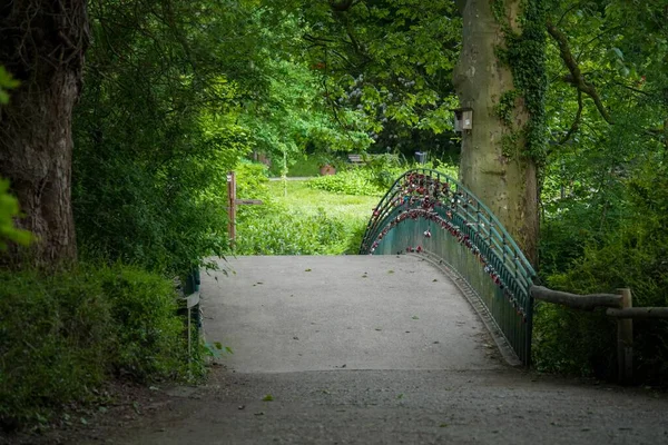 Malowniczy Widok Kłódek Poręczy Mostu Zielonym Parku — Zdjęcie stockowe