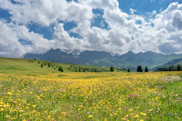 Eine Wunderbare Landschaft Dolomitengebirge Alta Val Badia Trentino Südtirol Italien — Stockfoto