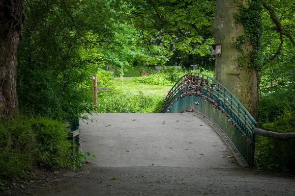 Uma Vista Panorâmica Cadeados Corrimão Uma Ponte Parque Verde — Fotografia de Stock