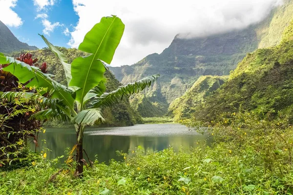 Tahiti Polynésie Française Lac Vaihiria Dans Vallée Papenoo Dans Les — Photo