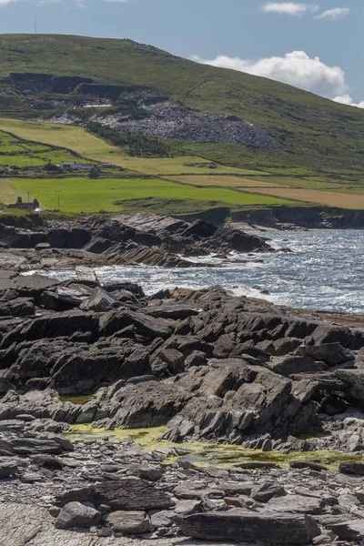 Eine Landschaftlich Reizvolle Aufnahme Grüner Felder Und Felsiger Küste Irland — Stockfoto