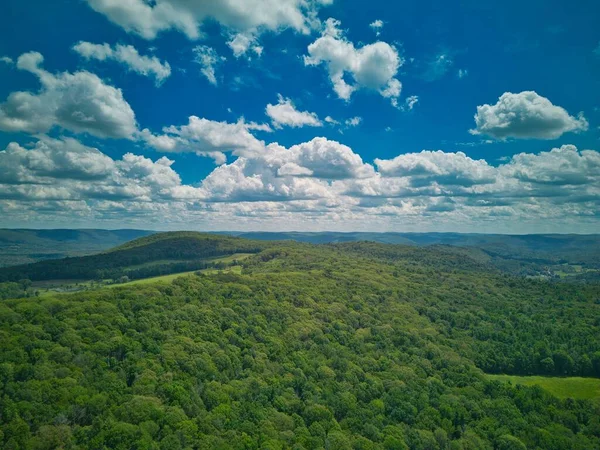 Paesaggio Panoramico Una Foresta Lungo Appalachian Trail Nel Connecticut Stati — Foto Stock