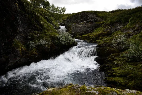 木々に覆われた山からの川の美しい景色 — ストック写真