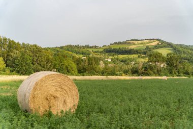 Yazın İtalya kırsalındaki yeşil bir arazide saman balyalarının manzarası.