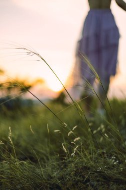 Bir kızın bulanık arka planında seçici yeşil çimen