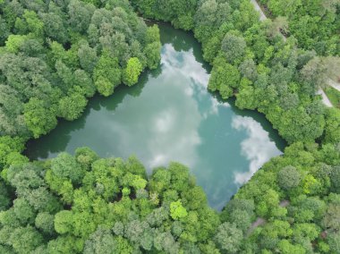 Yoğun ormanlarla çevrili küçük bir göl manzarası.