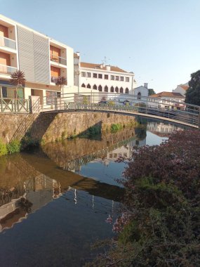 Bir köprünün dikey görüntüsü ve nehir boyunca uzanan çalılar.