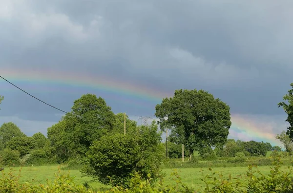 View Rainbow Field Green Trees — Stock Photo, Image