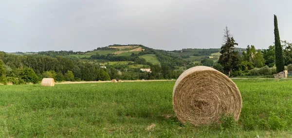 Scenic View Hay Bales Green Field Italian Countryside Summer — Stock Photo, Image