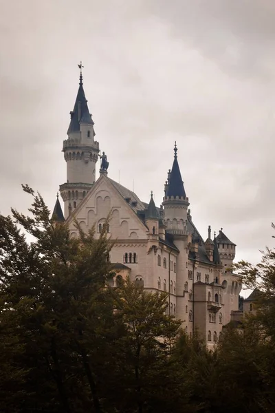 Een Verticale Opname Van Kasteel Neuschwanstein Achter Groeiende Bomen — Stockfoto