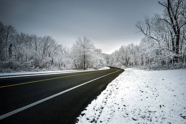 Silnice Procházející Zimním Lesem Zamračený Den — Stock fotografie