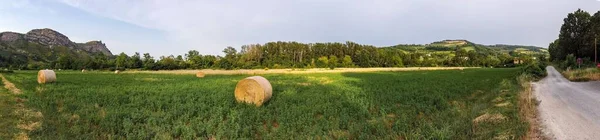 Панорамный Вид Тюки Сена Зеленом Поле Итальянской Сельской Местности Летом — стоковое фото