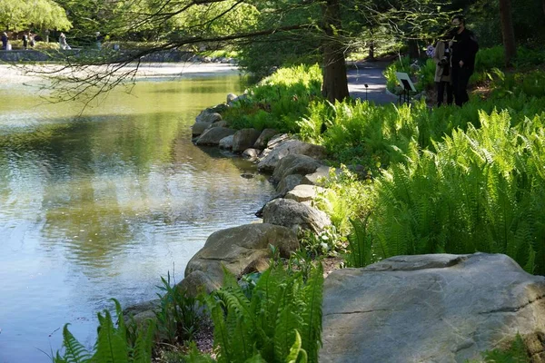 Una Hermosa Escena Lago Verde Con Árboles Plantas Alrededor Día — Foto de Stock