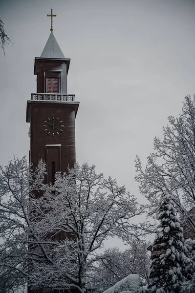 Вертикальний Знімок Церковної Вежі Годинником Взимку — стокове фото