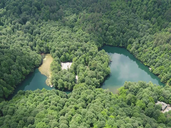 Luftaufnahme Eines Kleinen Sees Umgeben Von Dichtem Wald — Stockfoto