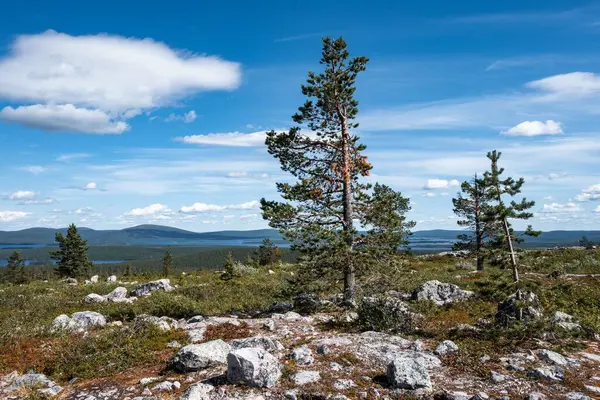 Het Harmonische Uitzicht Natuur Vanaf Een Bergtop Lapland Finland — Stockfoto