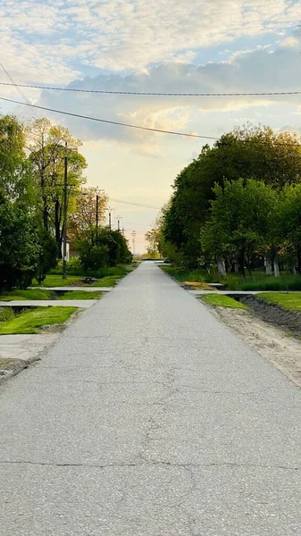 Een Gratis Steegje Het Rustige Park Bij Dageraad — Stockfoto