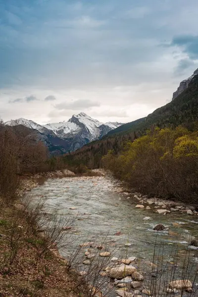 Plano Vertical Estrecho Río Entre Montañas — Foto de Stock