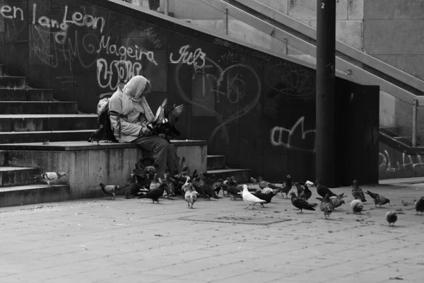 在德国 一位老太太坐在楼梯上 背后涂着涂鸦 正在喂鸽子 — 图库照片