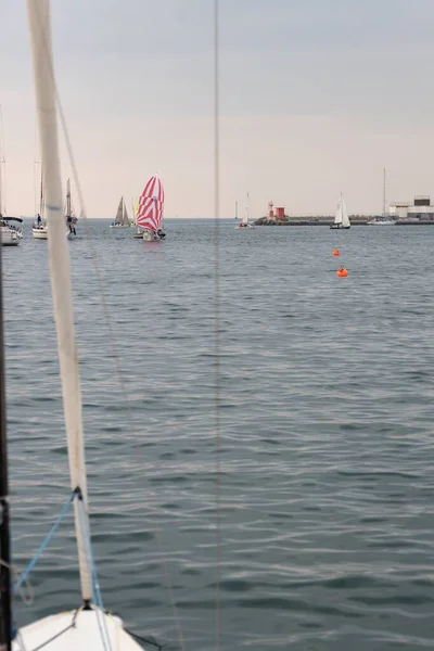 Vertical View Boat Barcolana Boat Racing Pre Race Holiday Gulf — Stock Photo, Image