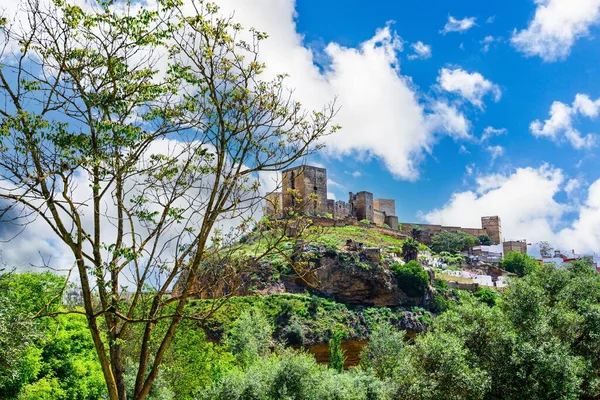 Красивый Вид Парк Ретама Замок Алкала Гуадайра Севилле Испания — стоковое фото
