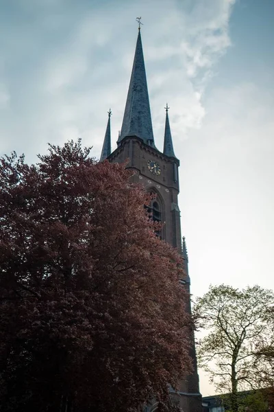 Sint Trudokerk Church Eindhoven 的一张垂直的照片 隐藏在一棵棕色的大树后面 — 图库照片