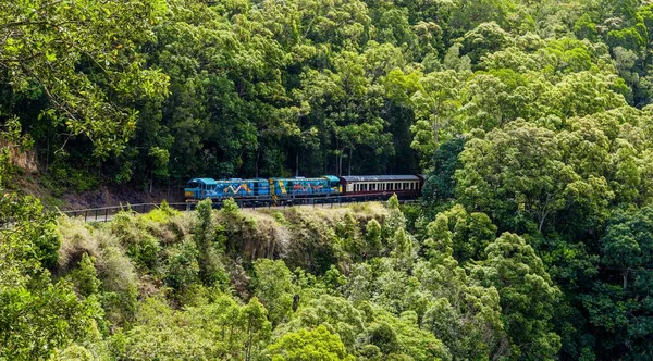 Ein Bunter Zug Fährt Bei Tageslicht Durch Einen Wald Umgeben — Stockfoto