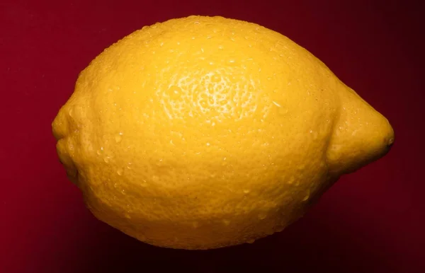 Eine Reife Zitrone Mit Den Wassertropfen Auf Dem Roten Hintergrund — Stockfoto