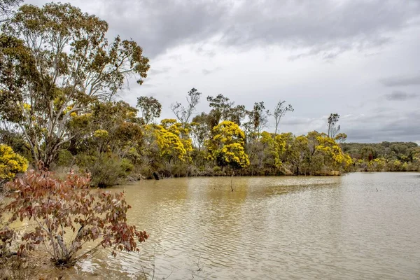 Вид Озеро Плотину Эммавилле Новый Южный Уэльс Австралия — стоковое фото