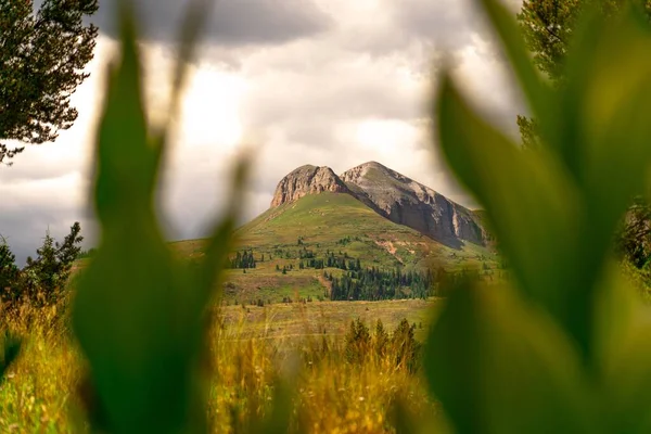 Una Hermosa Vista Una Montaña Verde Desde Detrás Las Hojas —  Fotos de Stock