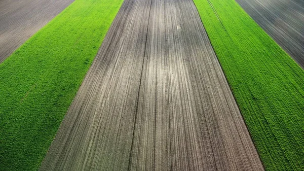 Een Hoge Hoek Drone Shot Van Groene Geploegde Landen — Stockfoto