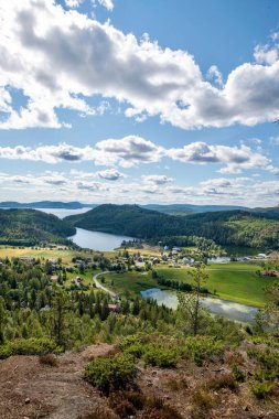 Güneşli bir günde dikey bir kırsal alan.